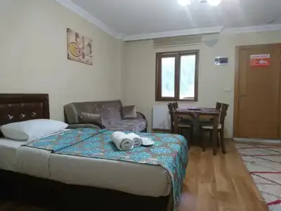 Uzungol Kusva Apart - 4