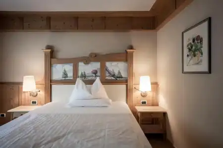 ADLER Spa Resort Dolomiti - 29