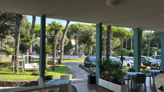 Palm Beach - 13