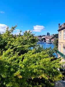 Memoria Porto FLHs - 135