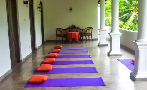 Boutique Villa Shanthi - 14