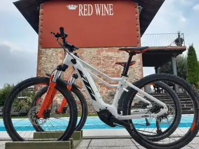 Red Wine Camere - 18