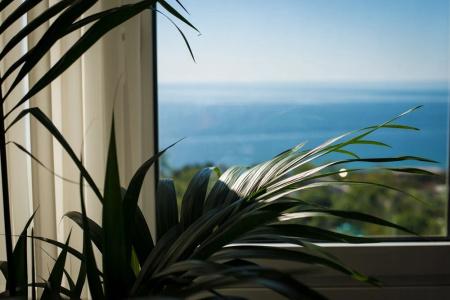 12th Floor Apartments - 118