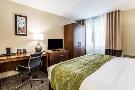 Comfort Inn & Suites Albuquerque Downtown - 5