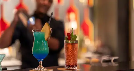 Plaza Premium Darmstadt - 30