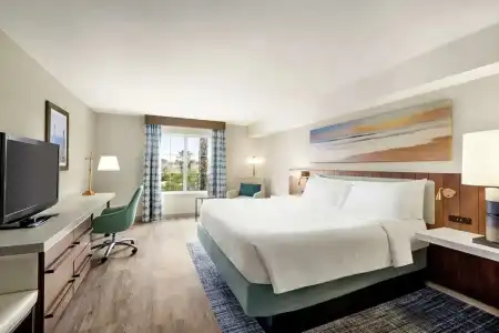 Hilton Garden Inn Carlsbad Beach - 68