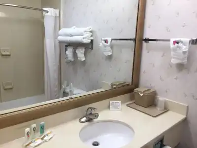Quality Inn & Suites, Near University - 35