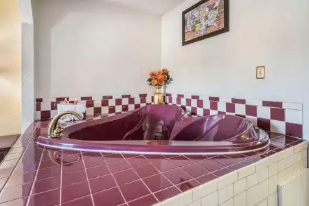 Econo Lodge Inn & Suites Macon West - 16