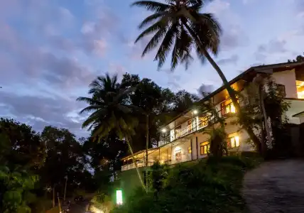 Tamarind Tree Inn. - 0