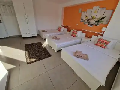 Flamingo Resort - 19
