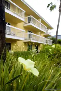 Hampton Inn & Suites by Hilton San Diego SeaWorld Near Old Town - 18