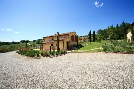 Gatto Bianco Tizzauli - 13