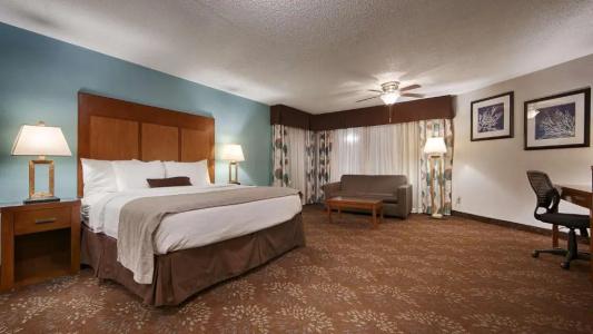 Best Western Plus El Paso Airport & Conference Center - 76