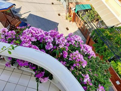 Bed and Terrace Guesthouse - 62