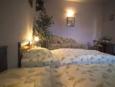 Aranysas Bungalows - 2