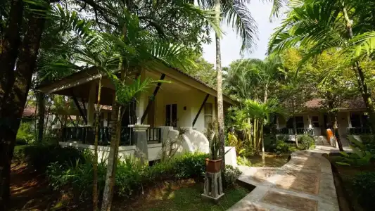 Baan Khaolak Beach Resort (SHA Plus+) - 177