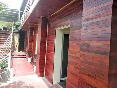 Monkey Island Resort - 50
