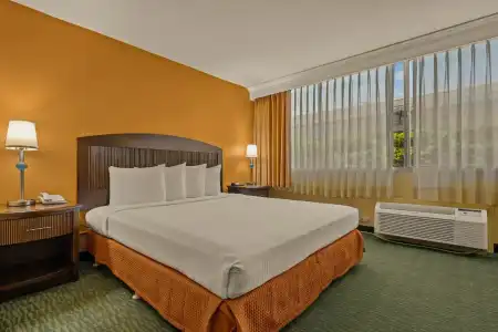 Airport Honolulu, Trademark Collection by Wyndham - 37