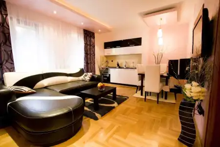 Vila Barović and Spa - 1