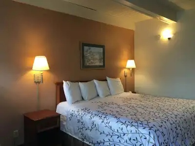 Van Ness Inn - 4