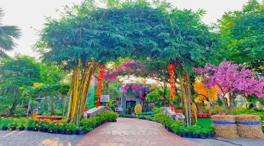 Thanh Dat Resort - 14
