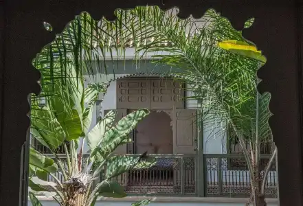 Riad Jaaneman - 15