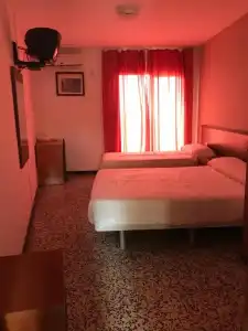 Iris - 37