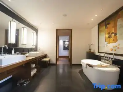 The St. Regis Lhasa Resort - 158