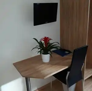 Restaurant Stern - 12