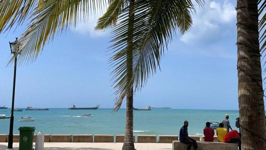 Mizingani Seafront - 23