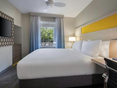 Holiday Inn Resort Orlando Suites - Waterpark by IHG - 5