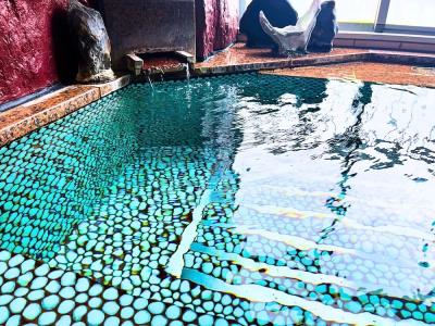 Showa Retro Spa Takasago onsen - 78