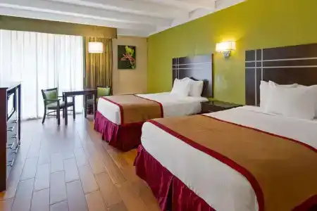 Best Western Orlando West - 47