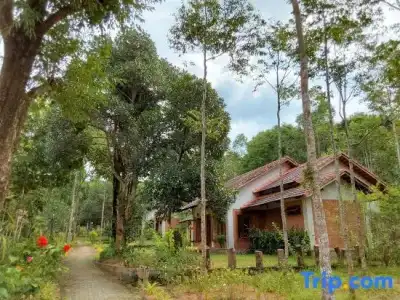 The Garden House Phu Quoc Resort - 331