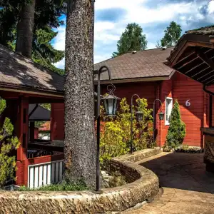 Villa Alpin - 7
