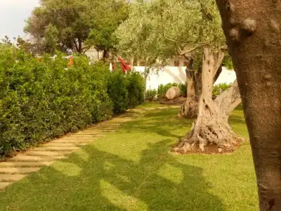 Villa Collina - 5