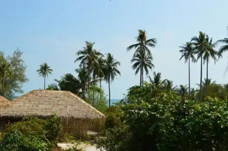 Tamu Koh Rong - 58