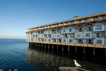 The Edgewater - 113