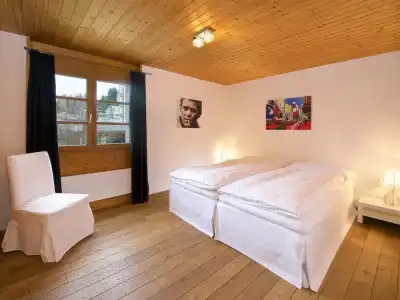 Schweizerhof - 14