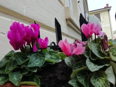 Roel Garden View - 14