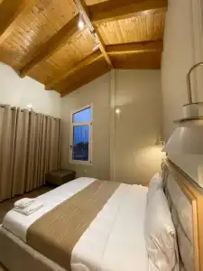 Arial Penthouse Suites - 238