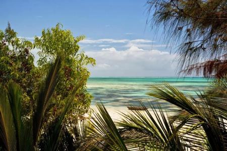 Kipepeo Lodge Zanzibar - 45