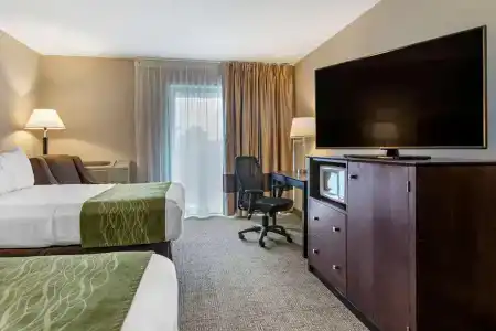 Comfort Inn Lansing West - 26