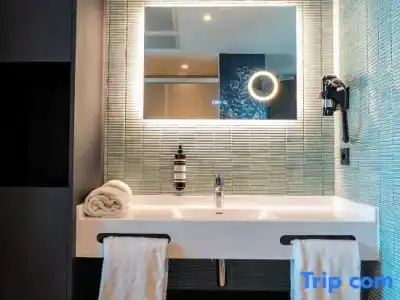 HOTELUX Amsterdam Airport - 34