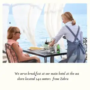Zebra - 23