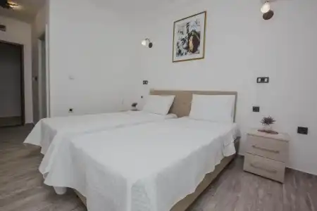 Dapčević - 29