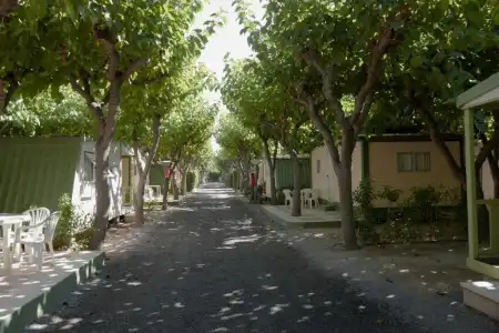 Camping Cambrils Playa - 67