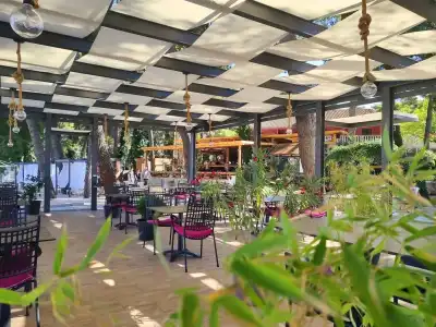 Matilde Beach Resort - 16