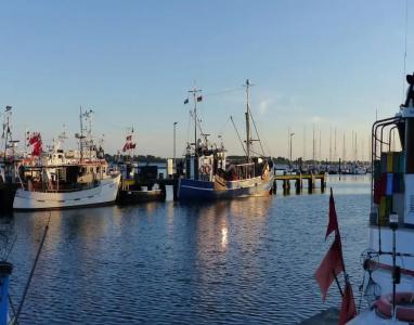 ApartMuseumshof auf Fehmarn - 24