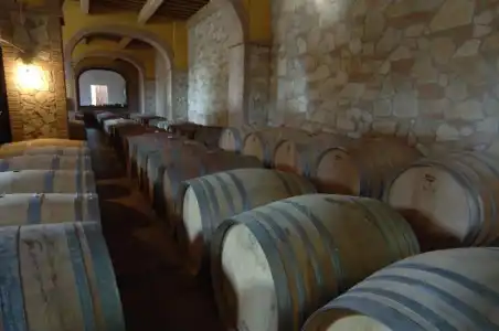 Tenuta Elisabetta - 12
